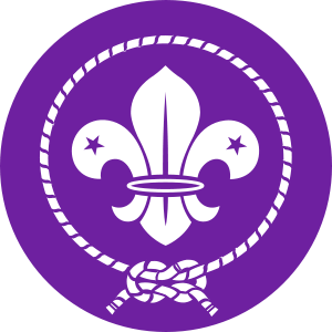 300px-World_Scout_Emblem_1955.svg