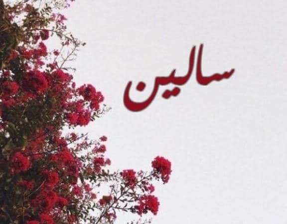 ما معنى اسم سالين؟