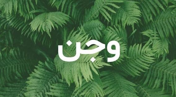 ما معنى اسم وجن؟