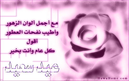 str-ly.com062879f971