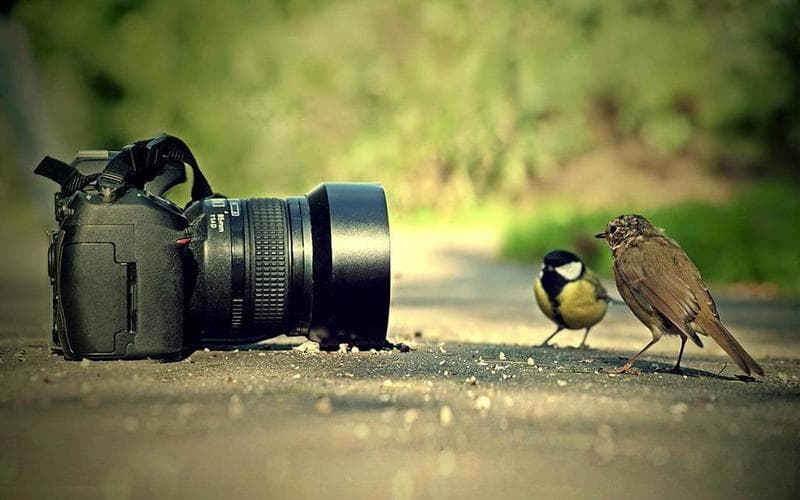 احتراف التصوير الفوتوغرافي