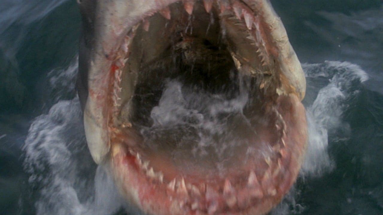 Jaws