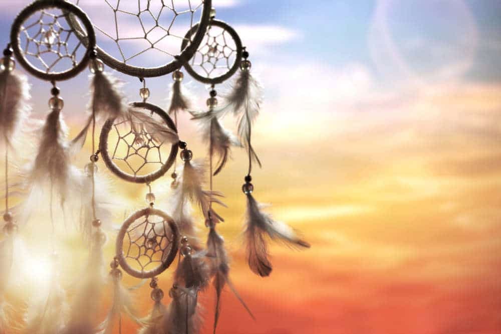 صائدة الأحلام 