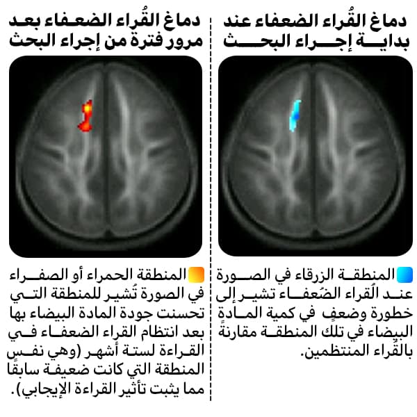 نتائج الدراسة - هل قراءة الروايات مضيعة للوقت