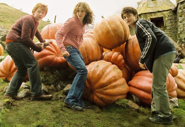 فيلم Harry Potter and The Prisoners of Azkaban