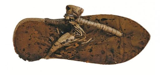 ورق البردي