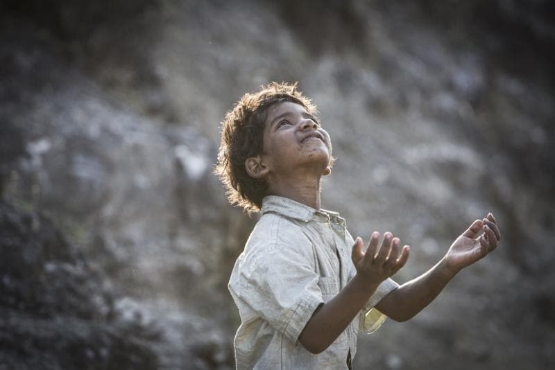 صورة فيلم Lion