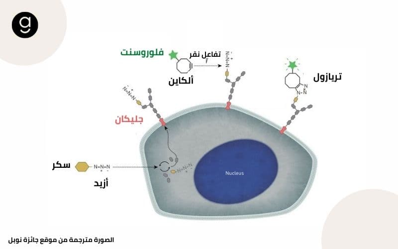 خريطة جليكان