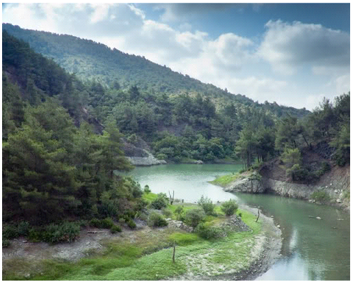 مدينة اللاذقية