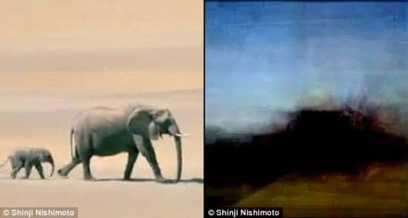 ابتكارات علمية