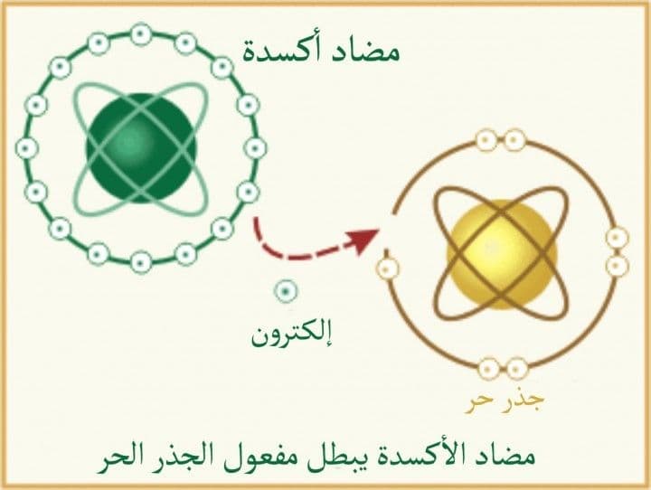 فوائد التفاح