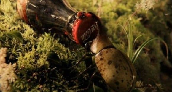 الكوكاكولا