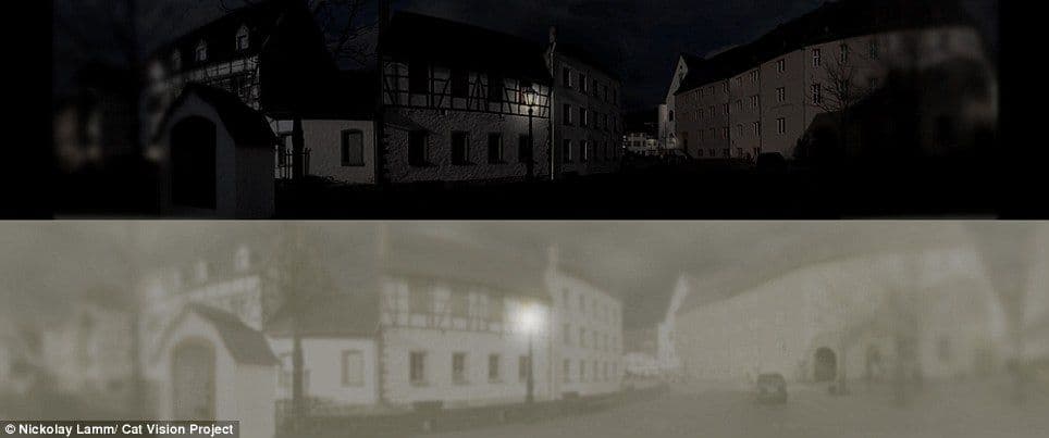 article-2462559-18C362EF00000578-682_964x403