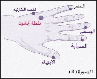 نقاط الأصابع و نقطة الجاموت