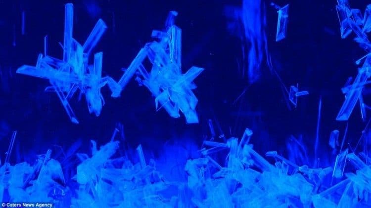 تفاعل كيميائي عن قرب