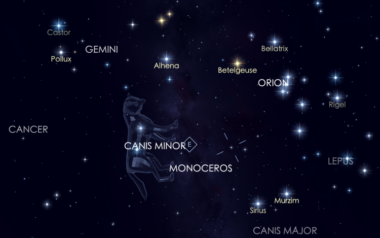 صورة 9 - كوكبة الكلب الأصغر