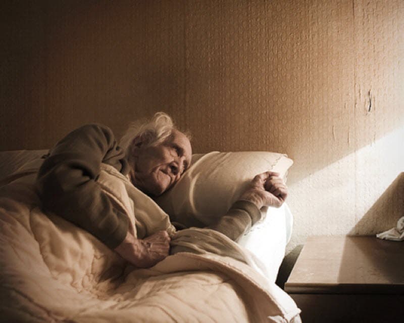 25 حقيقة مدهشة عن اليابان