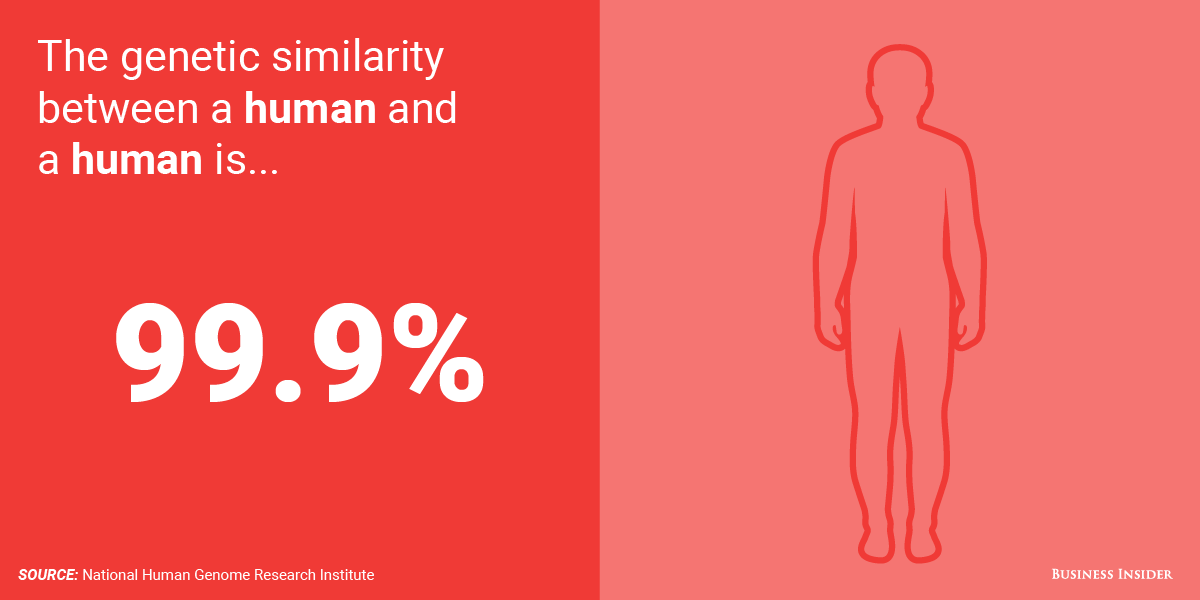 التشابه الجيني بين البشر