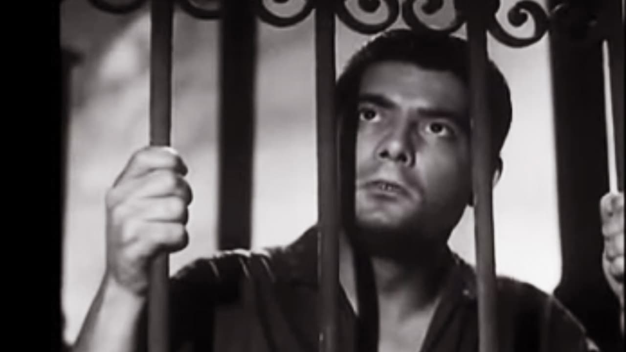 فيلم اللص والكلاب