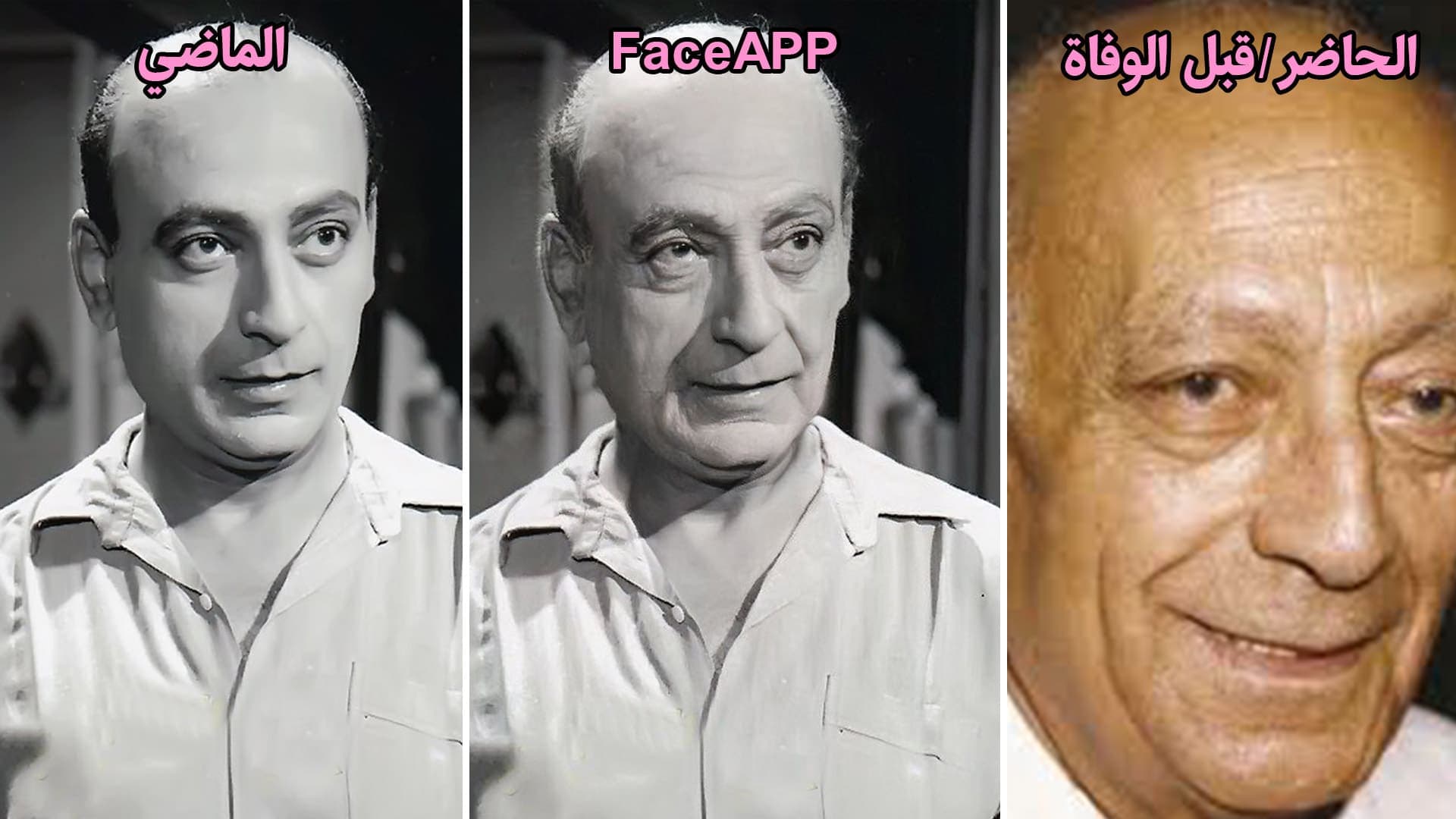 محمود المليجي