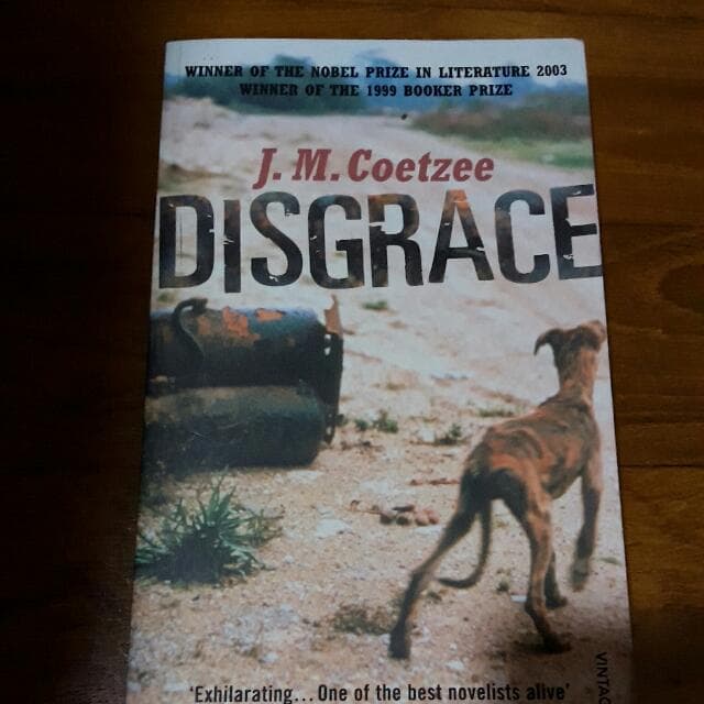 خزي - ج. م. كويتزي - الاغتصاب