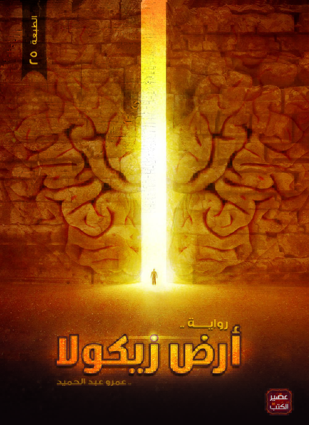 غلاف رواية أرض زيكولا للكاتب عمرو عبد الحميد