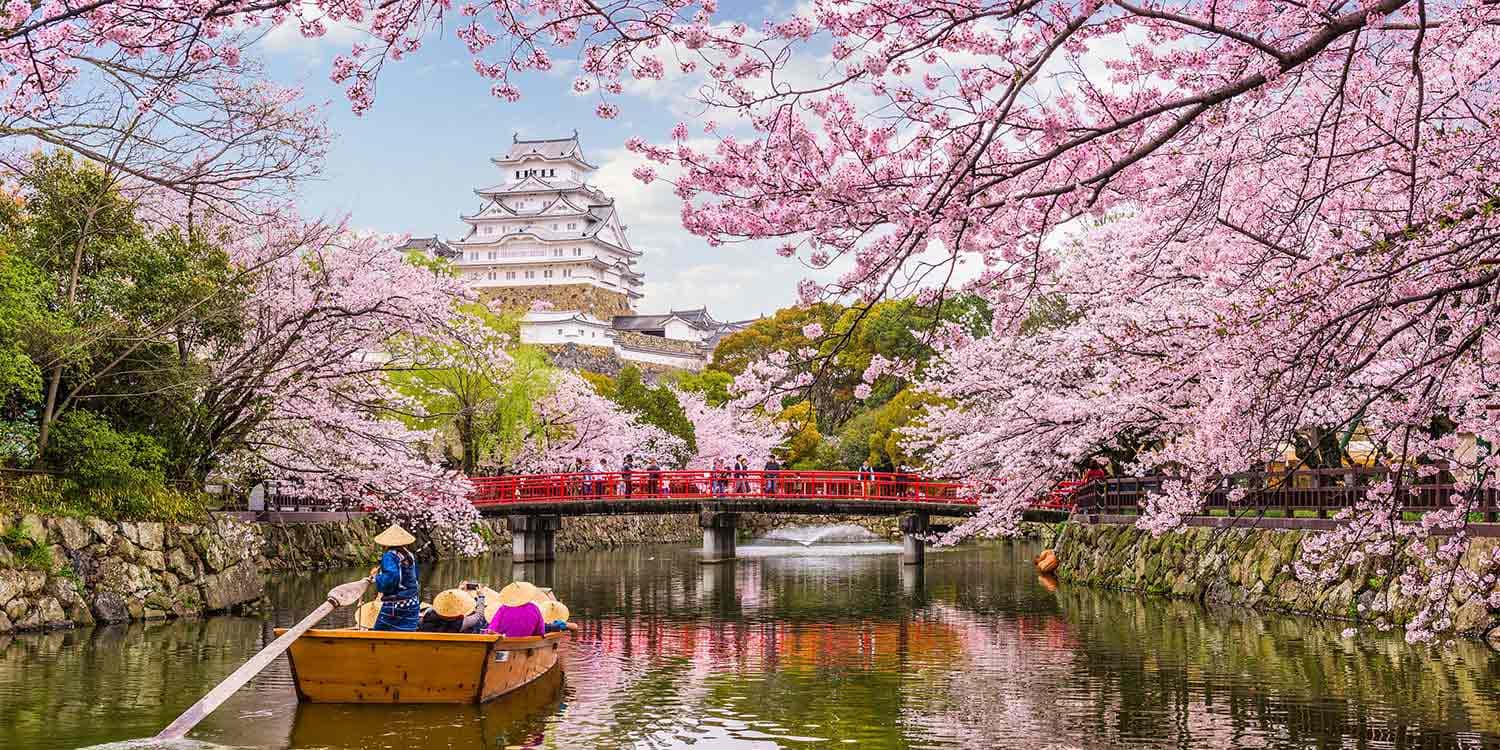 الربيع في كوريا الجنوبية