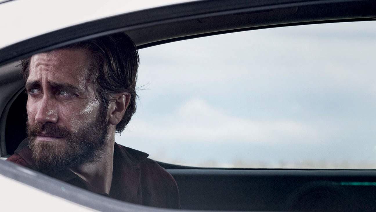 جيك جلينهال nocturnal animals